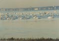 Côte Atlantique